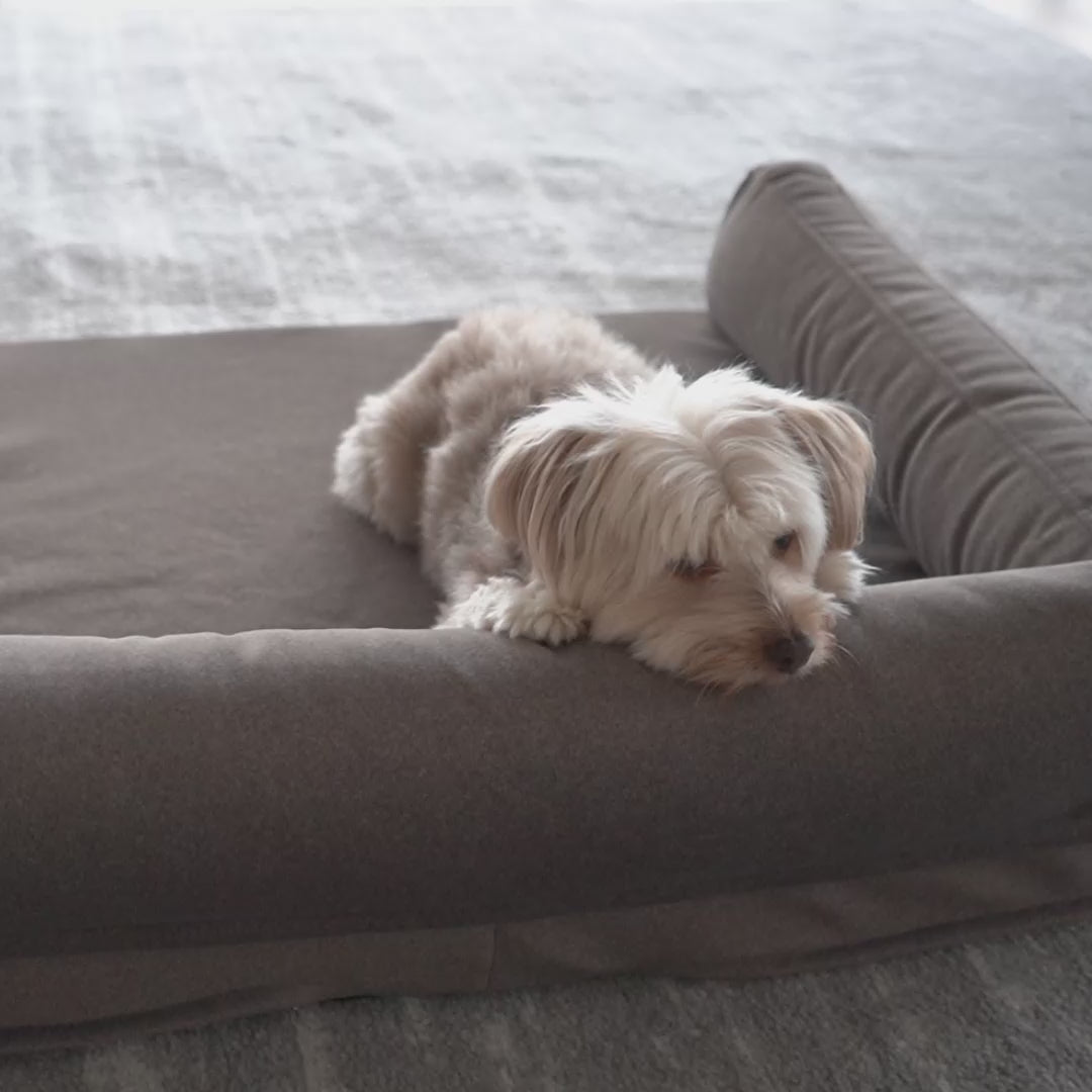 Treat a dog dog fashion bed reviews