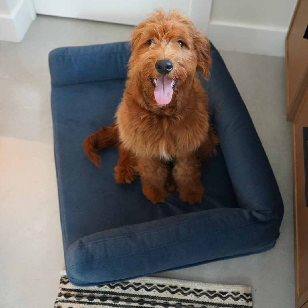 The Original Rufus Dog Bed™