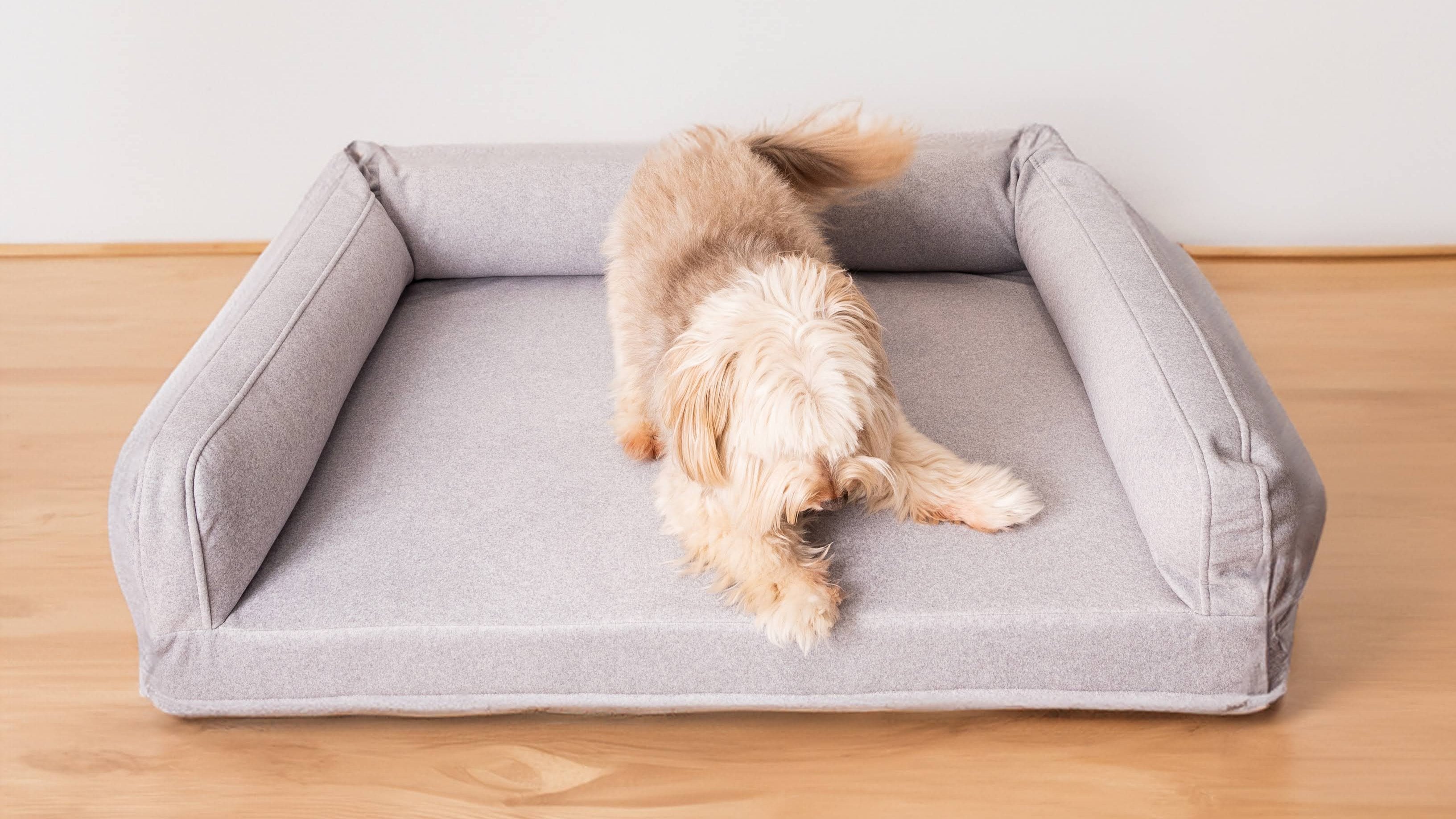 Close-up of a small dog lying on a gray dog bed with wooden floors visible in the room.